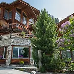 阿尔朋洛基酒店 采尔马特