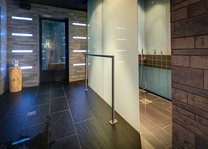 アルペンロッジ ホテル 3*